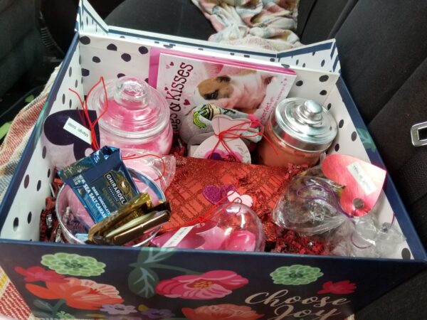 Mother's Day Basket | Large